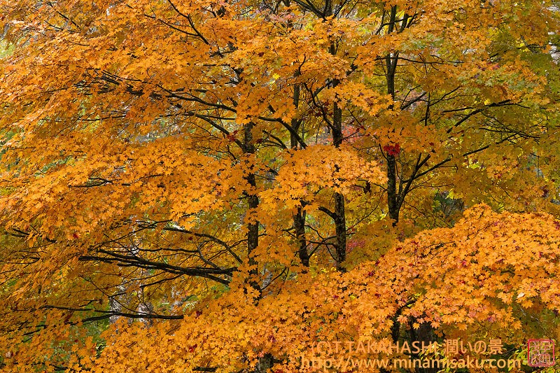 ../Images/7R251026 (186).jpg